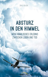 Absturz in den Himmel - Dale Black - E-Book