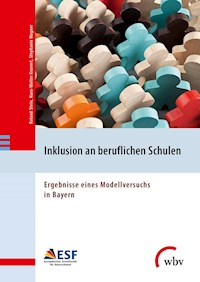 Inklusion an beruflichen Schulen - Stephanie Wagner - E-Book