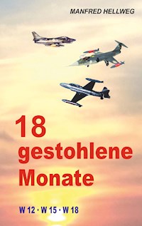 18 gestohlene Monate - Manfred Hellweg - E-Book
