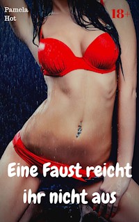 Eine Faust reicht ihr nicht aus - Pamela Hot - E-Book