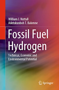 Fossil Fuel Hydrogen - William J. Nuttall - E-Book