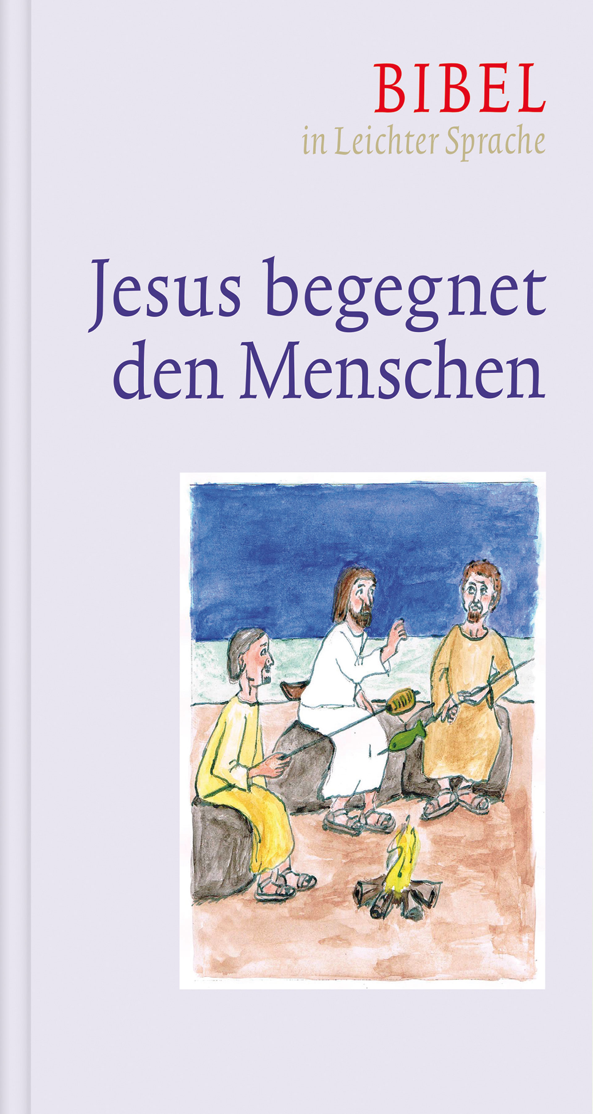 Jesus begegnet den Menschen - Dieter Bauer - E-Book