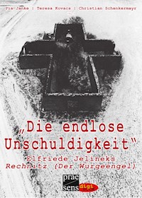 Die endlose Unschuldigkeit - - E-Book