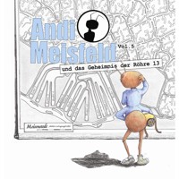 Andi Meisfeld, Folge 5: Andi Meisfeld und das Geheimnis der Röhre 13 - Tom Steinbrecher - Hörbuch