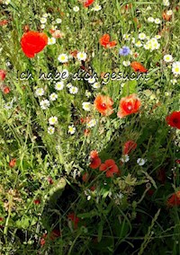 Ich habe dich gesucht - Christine Stutz - E-Book