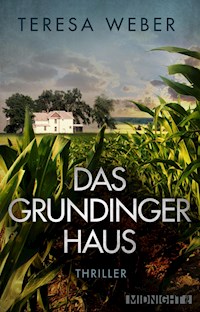 Das Grundinger-Haus - Teresa Weber - E-Book