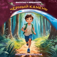Чёрный камень - Андрей Саломатов - Hörbuch