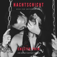 Nachtschicht - Chester Pain - Hörbuch