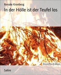 In der Hölle ist der Teufel los - Renate Kronberg - E-Book