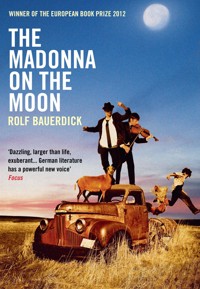 The Madonna on the Moon - Rolf Bauerdick - E-Book