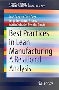 Best Practices in Lean Manufacturing - José Roberto Díaz-Reza - E-Book