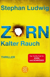 Zorn - Kalter Rauch - Stephan Ludwig - E-Book