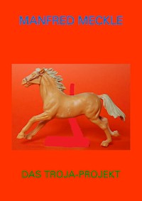 Das Troja-Projekt - Manfred Meckle - E-Book