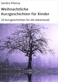 Weihnachtliche Kurzgeschichten für Kinder - Sandro Pilenza - E-Book