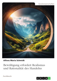 Bewältigung erfordert Realismus und Rationalität des Handelns - Alfons Maria Schmidt - E-Book