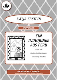 Ein Indiojunge aus Peru - Christian Bruhn - E-Book