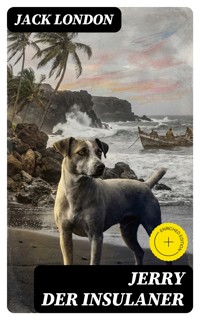 Jerry der Insulaner - Jack  London - E-Book