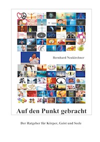 Auf den Punkt gebracht - Bernhard Neukirchner - E-Book