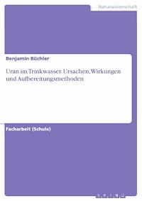 Uran im Trinkwasser. Ursachen, Wirkungen und Aufbereitungsmethoden - Benjamin Büchler - E-Book