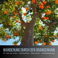 Wanderung durch den Orangenhain: Ein Fest der Sinne - Fantasiereise - Mentalreise - Geführte Tiefenentspannung - Gedankenreise - Patrick Lynen - Hörbuch