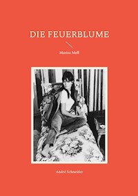 Die Feuerblume - André Schneider - E-Book