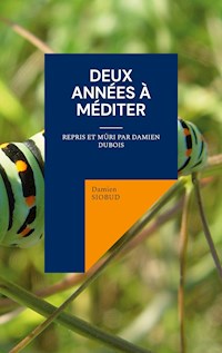 Deux Années à Méditer - Damien Siobud - E-Book