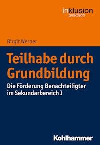 Teilhabe durch Grundbildung - Birgit Werner - E-Book