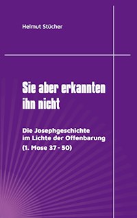 Sie aber erkannten ihn nicht - Helmut Stücher - E-Book