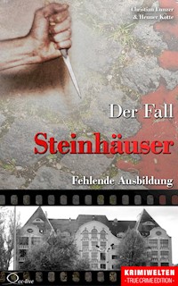 Der Fall Steinhäuser - Christian Lunzer - E-Book