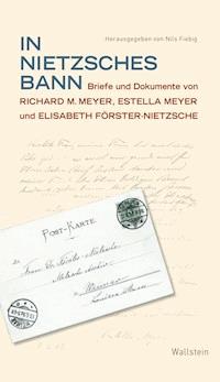 In Nietzsches Bann -  - E-Book