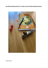 Das Wirtschaftswachstum im Staat und mein Wirtschaftswachstum - Claudia Pöschl - E-Book