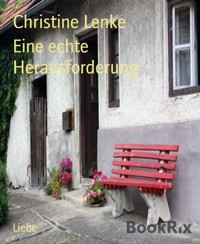 Eine echte Herausforderung - Christine Lenke - E-Book