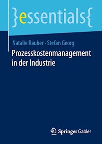 Prozesskostenmanagement in der Industrie - Natalie Rauber - E-Book