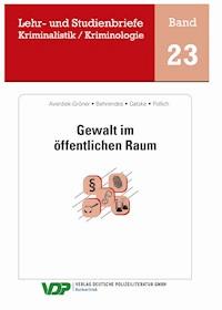 Gewalt im öffentlichen Raum - Udo Behrendes - E-Book