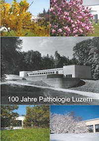 100 Jahre Pathologie Luzern - Joachim Diebold - E-Book