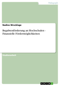 Begabtenförderung an Hochschulen - Finanzielle Fördermöglichkeiten - Nadine Wrocklage - E-Book