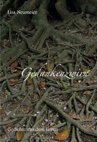 Gedankenzwirn - Lisa Neumeier - E-Book