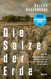Die Salze der Erde - Kerstin Hoppenhaus - E-Book
