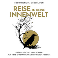 Reise in deine Innenwelt - Meditation zum Einschlafen - Raphael Kempermann - Hörbuch