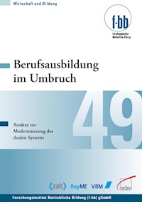 Berufsausbildung im Umbruch -  - E-Book