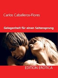 Gelegenheit für einen Seitensprung - Carlos Caballeros-Flores - E-Book