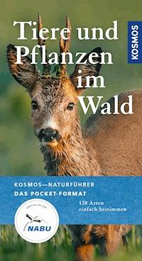 Tiere und Pflanzen unserer Wälder - Ute Wilhelmsen - E-Book