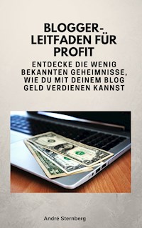 Blogger-Leitfaden für Profit - Andre Sternberg - E-Book