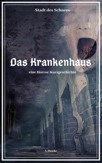 Die Stadt des Schnees - Das Krankenhaus - L. Hawke - E-Book