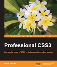 Professional CSS3 - Piotr Sikora - E-Book