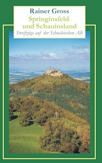 Springinsfeld und Schauinsland - Rainer Gross - E-Book