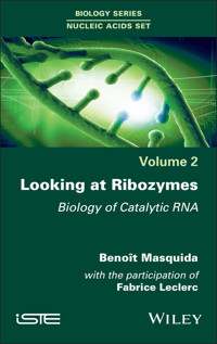 Looking at Ribozymes - Fabrice Leclerc - E-Book