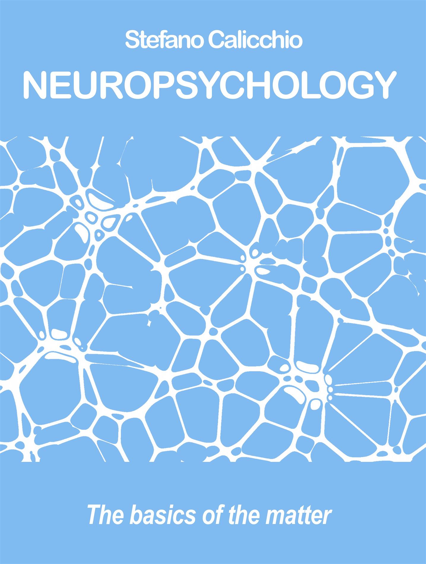 Neuropsychology - Stefano Calicchio - E-Book