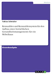 Kennzahlen und Kennzahlensystem für den Aufbau eines betrieblichen Gesundheitsmanagements für ein Möbelhaus - Tobias Schnizler - E-Book