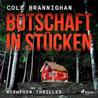 Botschaft in Stücken: Norwegen-Thriller - Cole Branninghan - Hörbuch